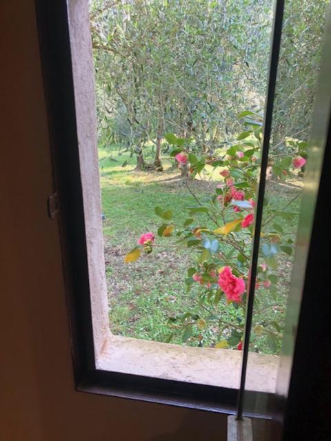 Agriturismo La Pieve Colle di Val d'Elsa Eksteriør billede
