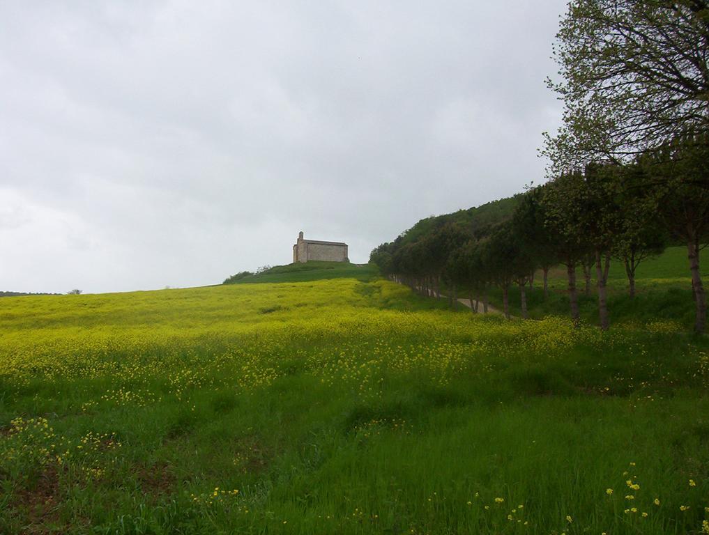 Agriturismo La Pieve Colle di Val d'Elsa Eksteriør billede