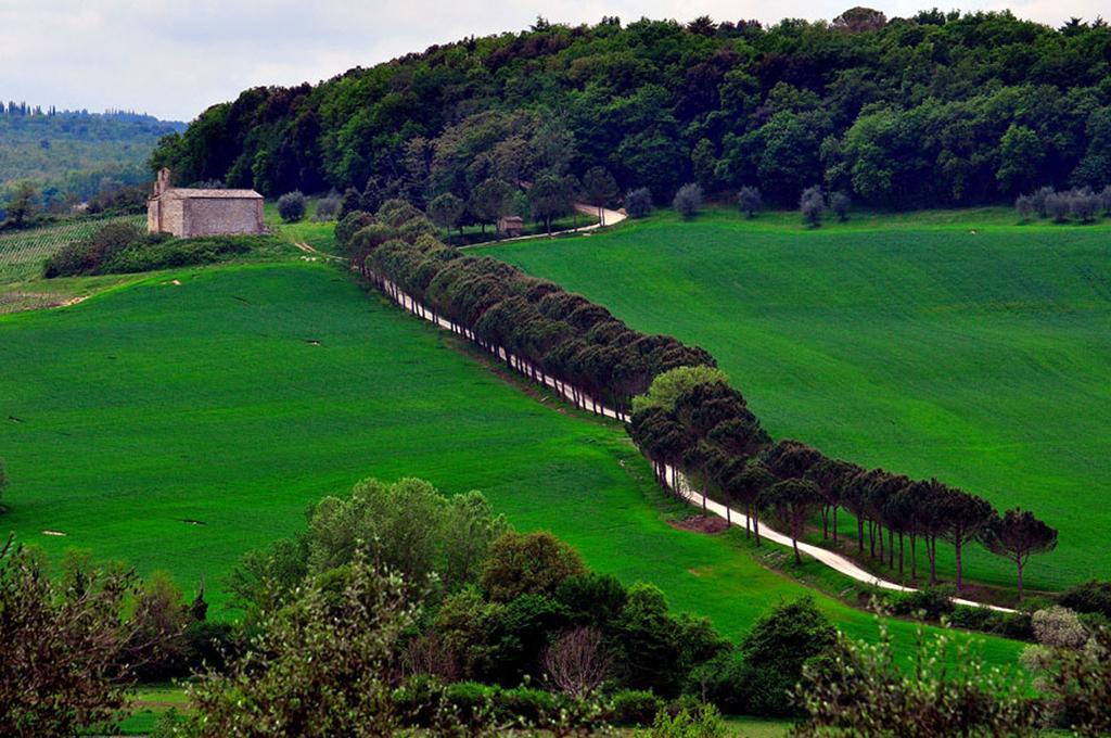 Agriturismo La Pieve Colle di Val d'Elsa Eksteriør billede