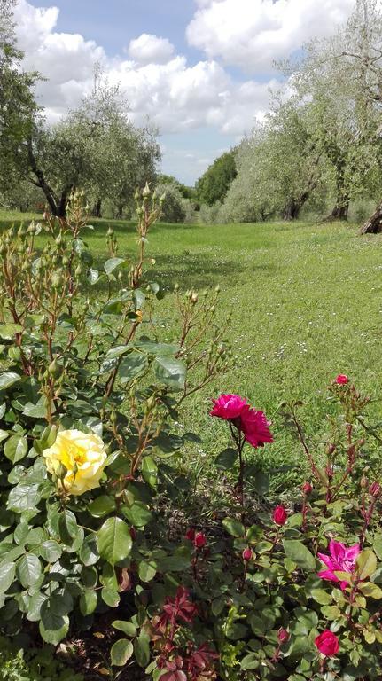 Agriturismo La Pieve Colle di Val d'Elsa Eksteriør billede