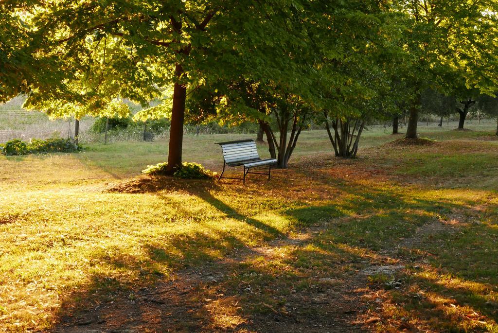 Agriturismo La Pieve Colle di Val d'Elsa Eksteriør billede